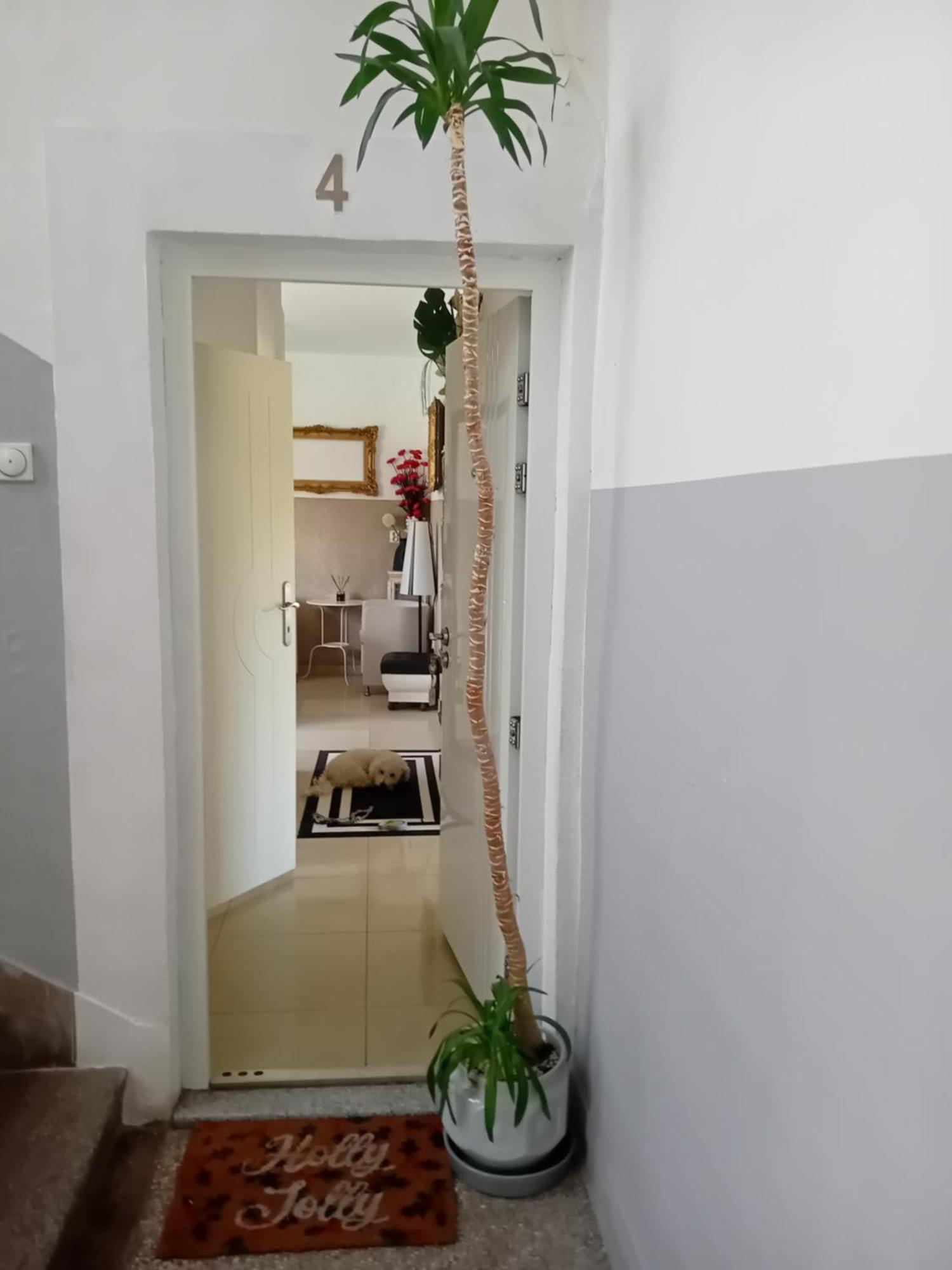 Apartment Top Centar บันยาลูกา ภายนอก รูปภาพ